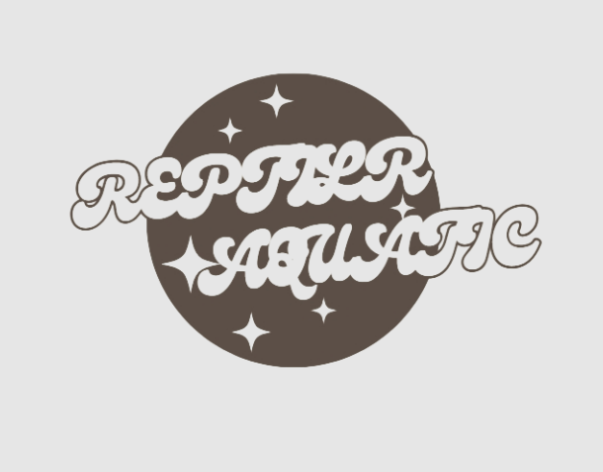 Sign Up & Get Exclusive Offers