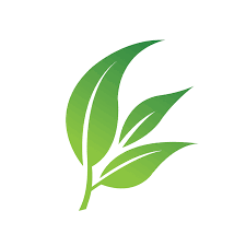 10% OFF ON YOUR FIRST ORDER