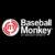 Baseball Monkey