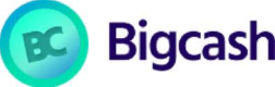 Bigcash Web