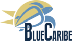 Blue Caribe Tours UK