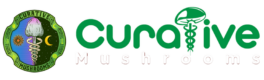 Curative Mushrooms
