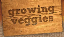 Growing Veggies
