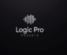 Logic Pro Presets