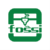 Fossi3D