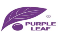 Purple Leaf