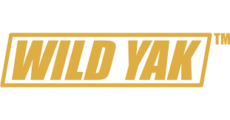 Wild Yak